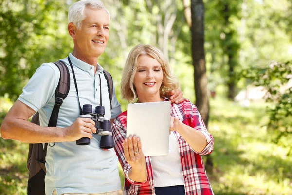 Casal sênior passeando pela floresta — Fotografia de Stock