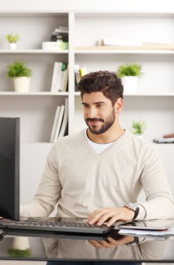 Financial assistant working on his computer