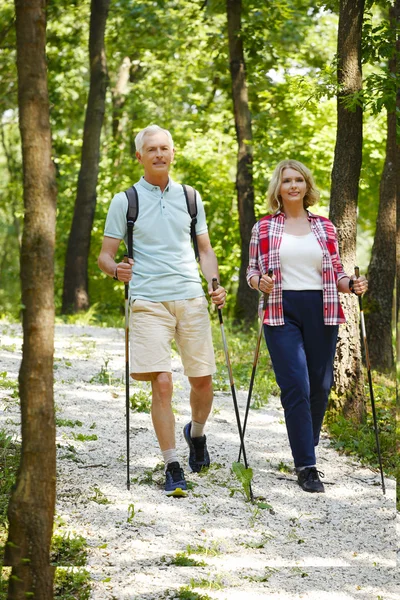 Cuplu în vârstă care se bucură de o plimbare nordică în pădure — Fotografie, imagine de stoc