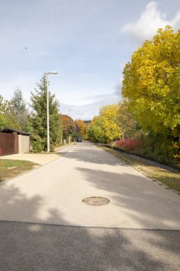 Bir yerleşim bölgesinde yol. Banliyöde sonbaharda ağaçlarla kaplı bir cadde. Boş sokak. 