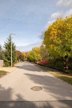 Bir yerleşim bölgesinde yol. Banliyöde sonbaharda ağaçlarla kaplı bir cadde. Boş sokak. 