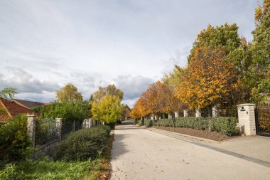 Bir yerleşim bölgesinde yol. Banliyöde sonbaharda ağaçlarla kaplı bir cadde. Boş sokak. 