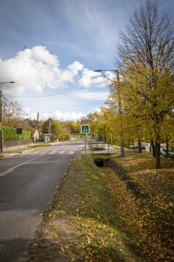 Banliyöde sonbaharda ağaçlar ve yol işaretleri olan bir cadde. Boş sokak.