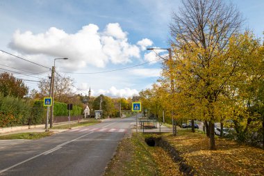 Banliyöde sonbaharda ağaçlar ve yol işaretleri olan bir cadde. Boş sokak.