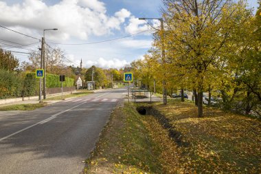 Banliyöde sonbaharda ağaçlar ve yol işaretleri olan bir cadde. Boş sokak.