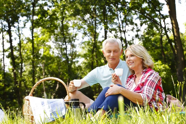 Seniorenpaar beim Picknick im Wald — Stockfoto