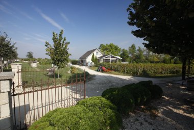 Aile bağ yolu