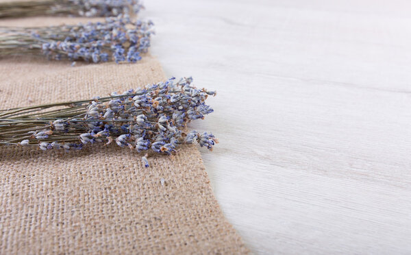 Лавандовые цветы на фоне дерева с пространством
