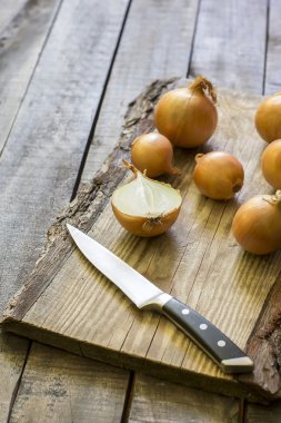 soğan vintage tablo