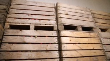 elma büyük bir kutu