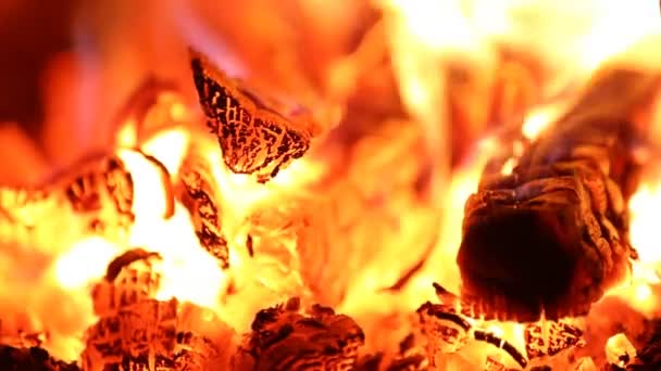 Feuer im Kamin — Stockvideo