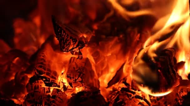 Şöminede yanan ateş — Stok video