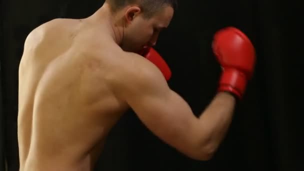 Hombre con guantes de boxeo rojos — Vídeos de Stock