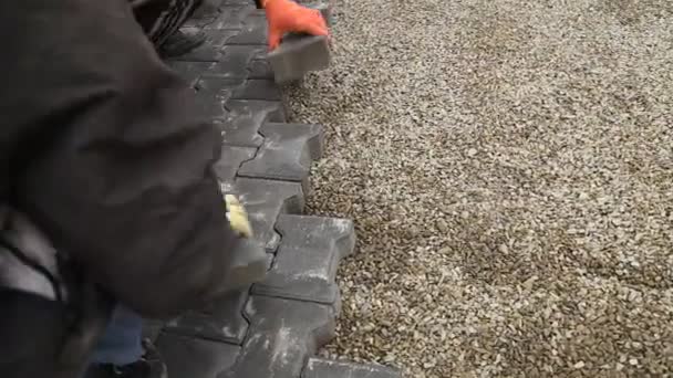 Arbeiter legt Gehwegplatten — Stockvideo