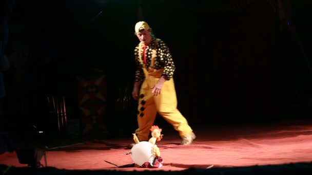 Цирк клоунов с резиновой курицей — стоковое видео