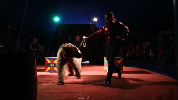 Glybokaya, Ukraine-March 27, 2016. Circus show with a bear — Stock Video