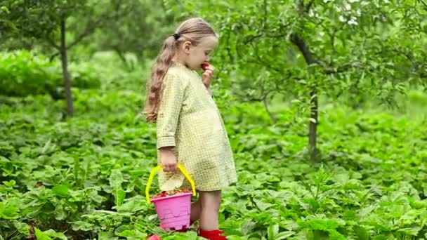 Girl eating strawberries — Wideo stockowe