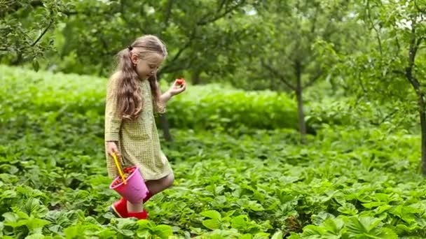 Niña comiendo una fresa — Vídeos de Stock