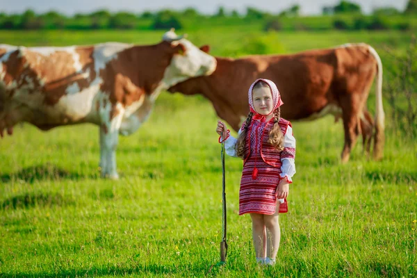 Girl tending cows — Stock Photo, Image