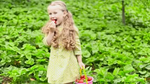 Girl eating strawberries — Wideo stockowe