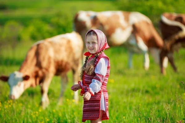 Girl tending cows — Stock Photo, Image