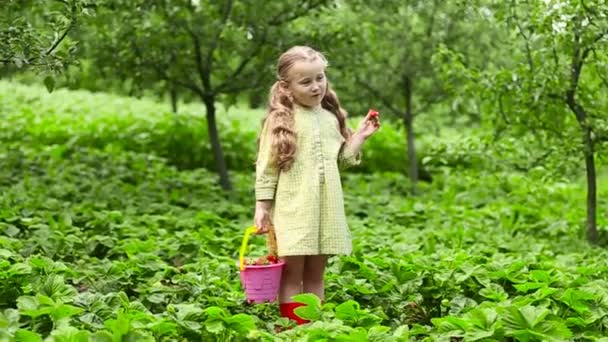 Girl eating strawberries — Wideo stockowe