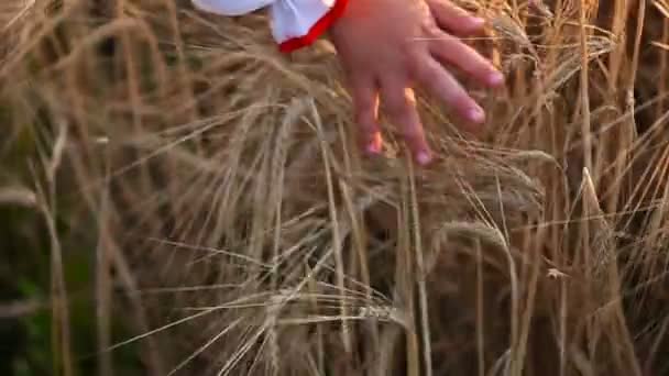 Mano de una joven de cerca — Vídeo de stock