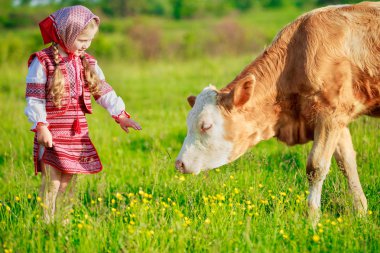Kız çalıştığım inekler