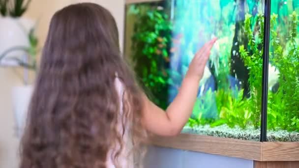 Дівчина дивиться на акваріум — стокове відео