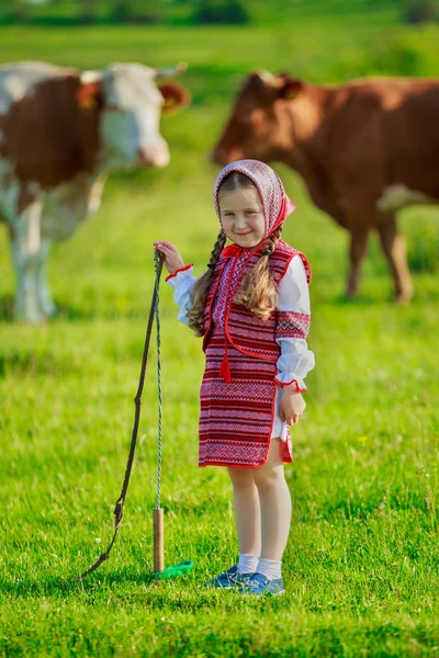 Girl tending cows — Stock Photo, Image