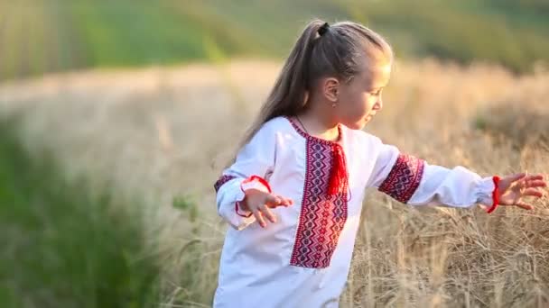 Küçük kız bir buğday sahada yürüyor — Stok video