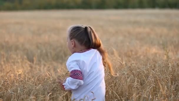 Маленькая девочка ходит по пшеничному полю — стоковое видео