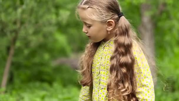 Kleines Mädchen in der Natur — Stockvideo