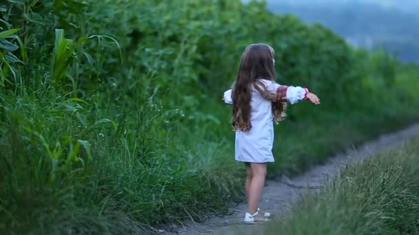 Kleines Mädchen springt und dreht sich — Stockvideo