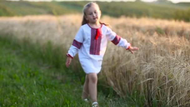 Petite fille marche sur un champ de blé — Video