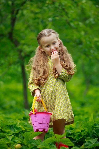 Little girl eating a strawberry — Stock Photo, Image