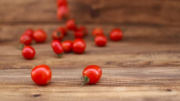 Gran cantidad de tomates que giran — Vídeos de Stock