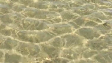 berrak su sığ suda