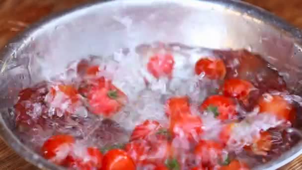 Pomodori che cadono nell'acqua — Video Stock