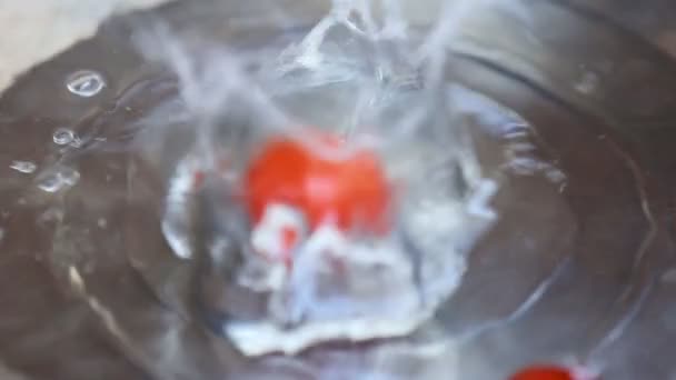 Tomaten fallen ins Wasser — Stockvideo