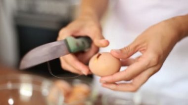 Kadın bir yumurta tatili