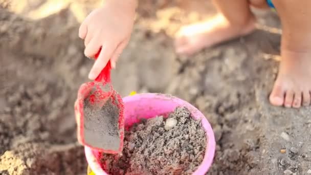 Mädchen spielt im Sand — Stockvideo