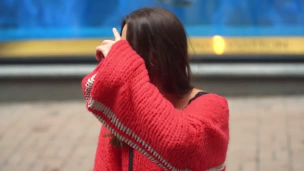 Portret van een meisje in een rode trui — Stockvideo