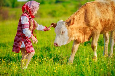 Kız otlayan inekler