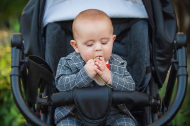 Bebek arabasındaki bebek elinde çiçekle
