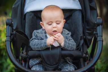 Bebek arabasındaki bebek elinde çiçekle