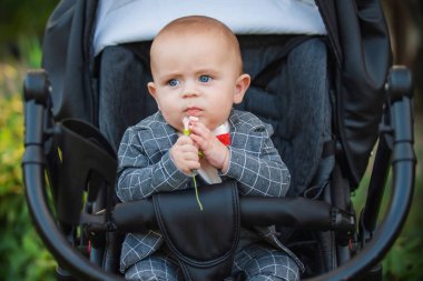 Bebek arabasındaki bebek elinde çiçekle