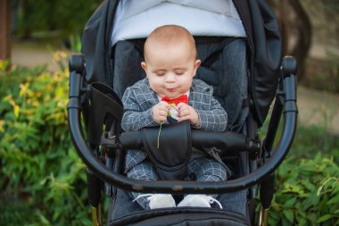 Bebek arabasındaki bebek elinde çiçekle