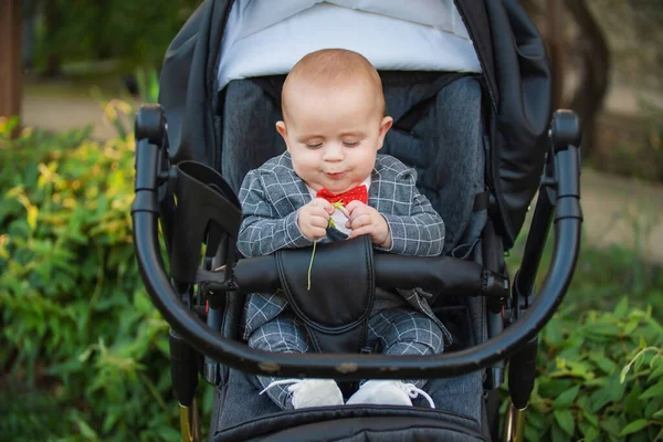 Bebek arabasındaki bebek elinde çiçekle