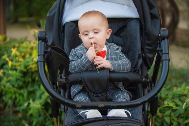 Bebek arabasındaki bebek elinde çiçekle